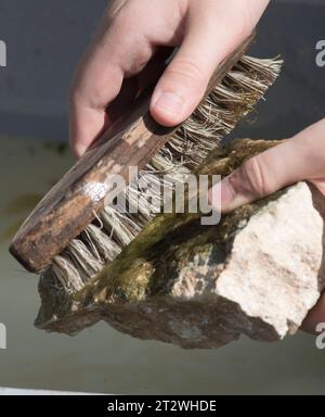 Eine Freimaurerkraft für das Schneiden von Steinen und Blöcken Eine Freimaurerkraft für die Arbeit an Steinen Credit: Imago/Alamy Live News Stockfoto