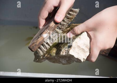 Eine Freimaurerkraft für das Schneiden von Steinen und Blöcken Eine Freimaurerkraft für die Arbeit an Steinen Credit: Imago/Alamy Live News Stockfoto