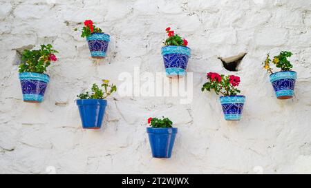 Viele Blumentöpfe an einer weißen Wand, traditionelle spanische Stadtdekoration in Mijas Stadt Stockfoto