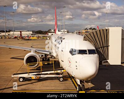 Sydney Australia/Kingsford Smith Airport mit Qantas Flugzeug am Terminal angedockt. Stockfoto