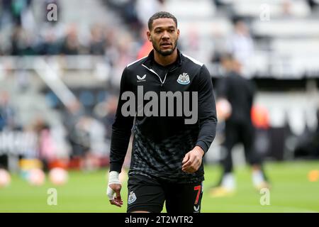 Newcastle am Samstag, den 21. Oktober 2023. Newcastle United's Joelinton wärmt sich während des Premier League-Spiels zwischen Newcastle United und Crystal Palace in St. auf James's Park, Newcastle am Samstag, den 21. Oktober 2023. (Foto: Mark Fletcher | MI News) Credit: MI News & Sport /Alamy Live News Stockfoto