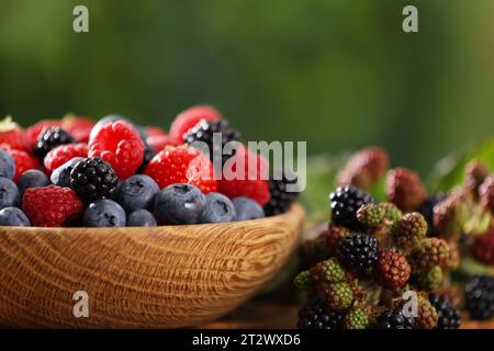 Schüssel mit verschiedenen frischen Beeren auf Tisch draußen, Nahaufnahme Stockfoto