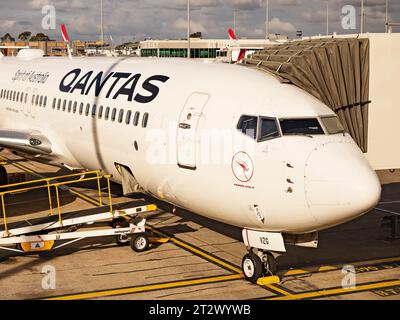 Sydney Australia/Kingsford Smith Airport mit Qantas Flugzeug am Terminal angedockt. Stockfoto