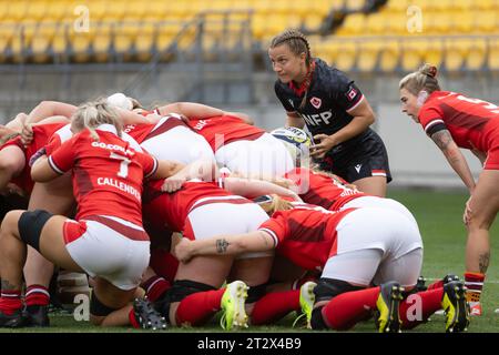 Wellington, Neuseeland. Oktober 2023. Ersatz-Halfback, Justine Pelletier, ist dabei, den Dreck zu füttern. Kanada gegen Wales. WXV1 internationales Rugby-Turnier für Damen. Sky Stadium. Wellington. Neuseeland (Joe Serci/SPP) Credit: SPP Sport Press Photo. /Alamy Live News Stockfoto