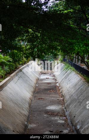 Ein Wassergraben, der in der Trockenzeit trocknet, mit Bäumen, die um den Wasserfluss wachsen. Stockfoto