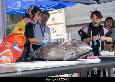 Mitglieder des Sabaki Girl Project schneiden Roten Thun während der Japanese Food Expo am 21. Oktober 2023 in der Industry City in New York Stockfoto