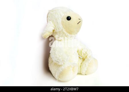 Teddybär braun, Teddybär-Puppe isoliert auf weißem Hintergrund. Hochwertige Fotos Stockfoto