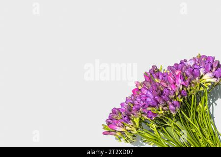 Blumen isoliert, um eine Postkarte und Ihre Ideen zu kreieren Stockfoto