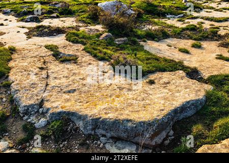 Wunderschöner amerikanischer Landschaftsmotiv-Hintergrund Stockfoto