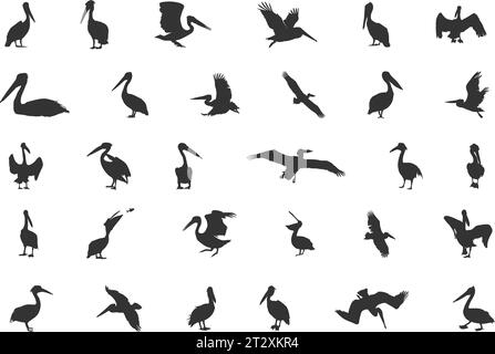 Pelican Silhouette, Braune Pelican Silhouette, Pelican Svg, Pelican Silhouetten, Vogelsilhouetten, Pelikan-Vektor Stock Vektor