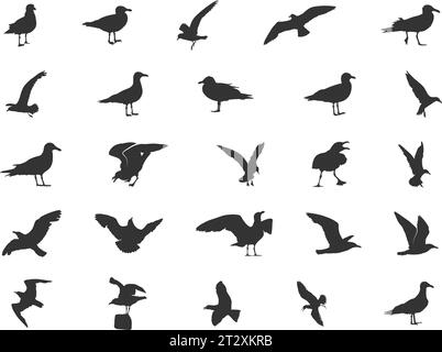 Möwe-Silhouetten, Fliegende Möwe-Silhouetten, Möwe-Vektor, Vogel-Symbol, Vogel-Silhouetten Stock Vektor