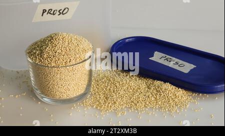 Proso Hirse, winzige runde Samen mit goldenem Farbton in einem Behälter und bis zum Rand gefüllte Glasschale. Nahrhafte glutenfreie und vielseitige Grundnahrung Stockfoto