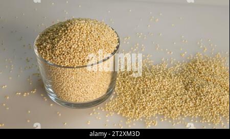 Proso Hirse, winzige runde Samen mit goldenem Farbton, die in einer bis zum Rand gefüllten Glasschale aufbewahrt werden. Nahrhaftes glutenfreies und vielseitiges Grundnahrungsmittel, geeignet für HE Stockfoto