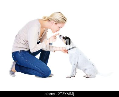 Frau, Training und Studio mit Hund oder Jack russell für Stille, Lernen und Pflege mit weißem Hintergrund. Mädchen, Tier oder Haustier Welpe mit Unterricht Stockfoto