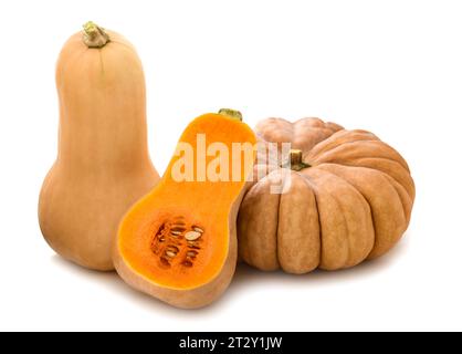Kürbisgruppe isoliert auf weißem Hintergrund Stockfoto