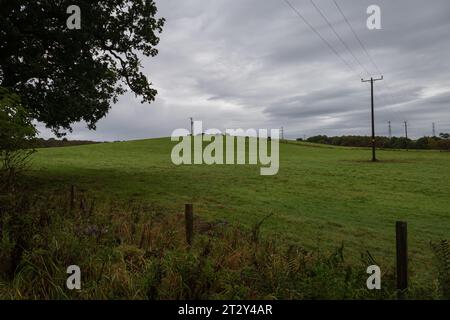 Elektrische Pylonen in der schottischen Landschaft an einem Herbstmorgen Stockfoto