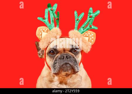 Niedlicher französischer Bulldog Hund mit weihnachtlichem Rentier Geweih Kostüm Stirnband auf rotem Hintergrund Stockfoto