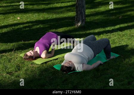 Zwei Frauen mittleren Alters üben Yoga im Stadtpark und machen Übungen, die auf der Fitnessmatte liegen. Gesunder Lebensstil, Fitness, Pilates, Gewichtsverlust. Übergewicht mit Stockfoto