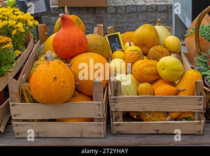 Haufen frischer, farbenfroher Kürbisse in Holzkisten, die draußen am Marktstand verkauft werden Stockfoto