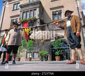 Frankreich. Elsass. Obernai Festival. Männer, die tote Wildschweine für das fest tragen. Stockfoto