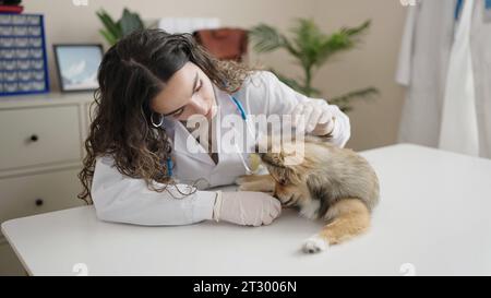 Junge hispanische Frau mit Hundetierärztin in der Klinik Stockfoto