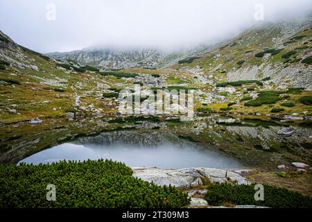 Naturlandschaft mit tarn im Mlynicka-Tal, hohe Tatra, Slowakische republik. Wandermotiv. Stockfoto