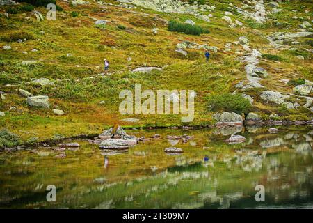 Naturlandschaft mit tarn im Mlynicka-Tal, hohe Tatra, Slowakische republik. Wandermotiv. Stockfoto