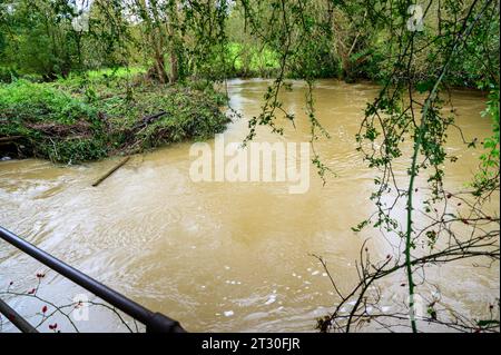 Kleiner Fluss in Hochwasser nach starken Regenfällen als Folge des Sturms Babet traf Großbritannien. Stockfoto