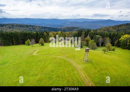Wunderschöne Wiese mit Aussichtsturm für Jäger, umgeben von üppigem Wald in Herbstfarben von Kocevski rog, Dolenjska, Slowenien Stockfoto
