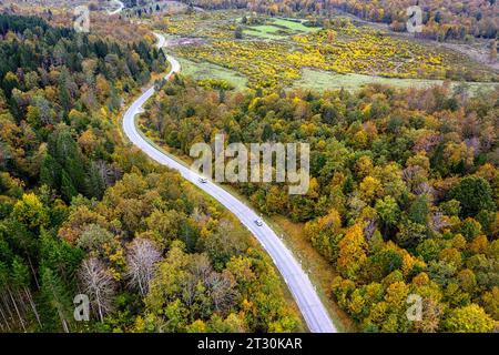 Luftaufnahme von Autos auf einer Ortsstraße mitten im Wald im Herbst mit Herbstlaub in der unberührten Region dolenjska in Slowenien Stockfoto