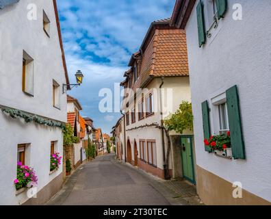 Alte Straße im Stadtteil Hambach, Neustadt an der Weinstraße, Rheinland-Pfalz, Deutschland, Europa Stockfoto