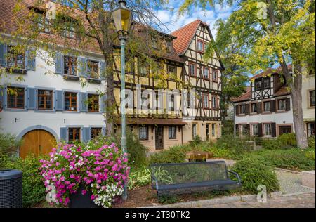 Fachwerkhäuser in der historischen Altstadt von Neustadt an der Weinstraße, Rheinland-Pfalz, Deutschland, Europa Stockfoto