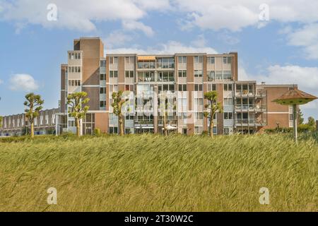 Ein Apartmentgebäude mitten auf einem Feld mit hohem grünem Gras und Palmen auf beiden Seiten Stockfoto