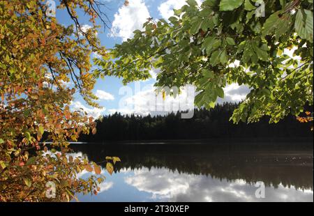 Bernried, Bayern, Deutschland 22. Oktober 2023: Ein Herbsttag bei Bernried Landkreis Weilheim-Schongau. Hier der Blick auf den Gallaweiher, herbstlich, Laub, Färbung, Blätter, Herbstbild, Herbststimmung, Ruhe, wandern, spazieren, Weiher, Natur, grüne Blätter, orange Blätter *** Bernried, Bayern, Deutschland 22 Oktober 2023 ein Herbsttag in der Nähe von Bernried Weilheim Schongau hier der Blick auf den Gallaweiher, Herbstlaub, Laub, Färbung, Blätter, Herbstbild, Herbststimmung, Ruhe, Wandern, Wandern, Teich, Natur, grüne Blätter, Orangenblätter Credit: Imago/Alamy Live News Stockfoto