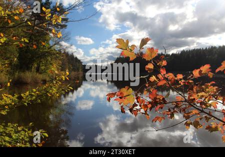 Bernried, Bayern, Deutschland 22. Oktober 2023: Ein Herbsttag bei Bernried Landkreis Weilheim-Schongau. Hier der Blick auf den Gallaweiher, herbstlich, Laub, Färbung, Blätter, Herbstbild, Herbststimmung, Ruhe, wandern, spazieren, Weiher, Natur *** Bernried, Bayern, Deutschland 22 Oktober 2023 ein Herbsttag bei Bernried Bezirk Weilheim Schongau hier der Blick auf den Gallaweiher, Herbstlaub, Laub, Färbung, Blätter, Herbstfoto, Herbststimmung, Ruhe, Wandern, Wandern, Teich, Natur Credit: Imago/Alamy Live News Stockfoto