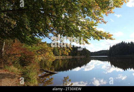 Bernried, Bayern, Deutschland 22. Oktober 2023: Ein Herbsttag bei Bernried Landkreis Weilheim-Schongau. Hier der Blick auf den Gallaweiher, herbstlich, Laub, Färbung, Blätter, Herbstbild, Herbststimmung, Ruhe, wandern, spazieren, Weiher, Natur *** Bernried, Bayern, Deutschland 22 Oktober 2023 ein Herbsttag bei Bernried Bezirk Weilheim Schongau hier der Blick auf den Gallaweiher, Herbstlaub, Laub, Färbung, Blätter, Herbstfoto, Herbststimmung, Ruhe, Wandern, Wandern, Teich, Natur Credit: Imago/Alamy Live News Stockfoto