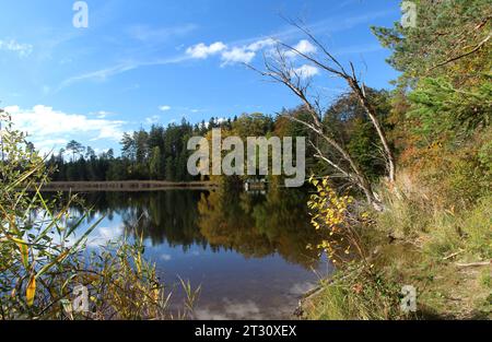 Bernried, Bayern, Deutschland 22. Oktober 2023: Ein Herbsttag bei Bernried Landkreis Weilheim-Schongau. Hier der Blick auf den Gallaweiher, herbstlich, Laub, Färbung, Blätter, Herbstbild, Herbststimmung, Ruhe, wandern, spazieren, Weiher, Natur *** Bernried, Bayern, Deutschland 22 Oktober 2023 ein Herbsttag bei Bernried Bezirk Weilheim Schongau hier der Blick auf den Gallaweiher, Herbstlaub, Laub, Färbung, Blätter, Herbstfoto, Herbststimmung, Ruhe, Wandern, Wandern, Teich, Natur Credit: Imago/Alamy Live News Stockfoto