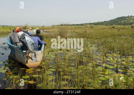 Touristen fotografieren den Shoebill Stork im Mabamba Sumpf, Uganda, wo er den Fokus des lokalen Ökotourismus bildet, der den Menschen Einkommen bringt. Stockfoto