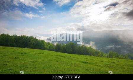 Berglandschaft der karpaten mit Wiese und Wald auf dem Hügel im Frühjahr. Atemberaubende Landschaft mit breiter grüner Weide unter blauem Himmel Stockfoto