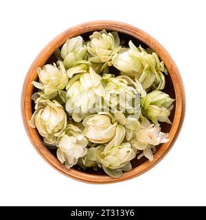 Hopfen, getrocknete Hopfenblüten in einer Holzschale. Humulus lupulus, ein Mitglied der Cannabaceae-Familie, wird als Bitterstoff, Aroma- und Stabilitätsmittel verwendet. Stockfoto