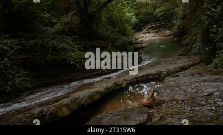 Gebirgsfluss, der im Regenwald fließt. Kreativ. Bach im tropischen exotischen Dschungel, Bach fließt in tiefen Wäldern zwischen Steinen. Stockfoto