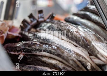 Makronaht von Silberfischen auf der Theke eines Fischhändlers Stockfoto