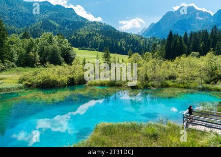 Wunderschöne Landschaft des künstlichen Jasna-Sees umgeben von Wald und Alpen Berggipfeln im Hintergrund, an einem sonnigen Tag in Slowenien Stockfoto