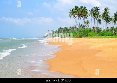 Wunderschöne Meereslandschaft. Am breiten Strand wachsen Kokospalmen. Stockfoto