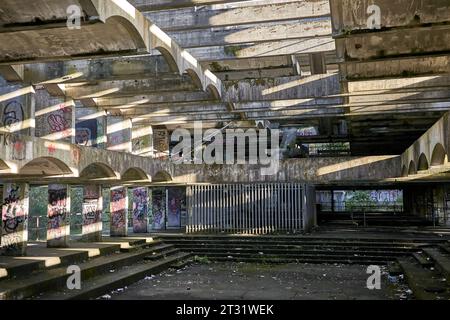 St. Peter's Semenary auf dem Anwesen Kilmahew in der Nähe von Cardross, Dumbarton, Schottland. Ein brachliegendes, brutalistisches Betongebäude in Wäldern, das mit Graffiti bedeckt ist Stockfoto