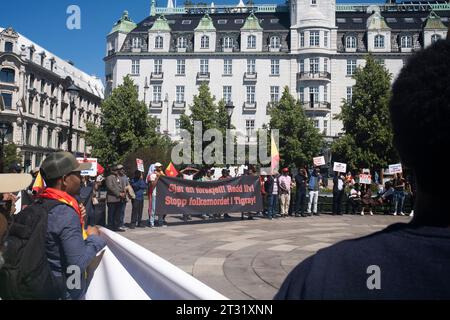 Stop Tigray Genocide , Leute von Tigray protestieren in Oslo, Norwegen am 24. Juni 2022. Sie sehen ihre Sorge und Verzweiflung in ihren Augen. So traurig Stockfoto