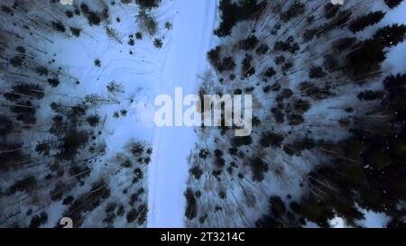 Eine Winterstraße zwischen Bäumen, die von einer Drohne genommen wurden. Clip. Winterlandschaften mit einem bewegten Mann auf einem Schneemobil in einem dunklen Wald. Stockfoto