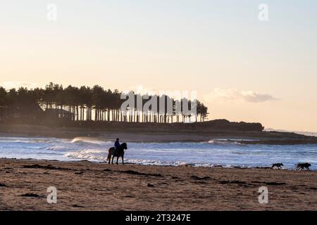 Sonntag, 22. Oktober 2023: Ein Pferd und Reiter bei Sonnenuntergang am Yellowcraig Beach, East Lothian, Schottland Stockfoto