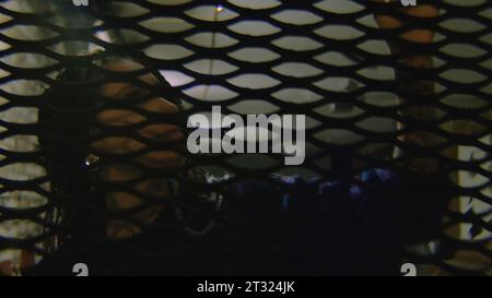 Frau hinter Gittern im alten Zimmer. Archivmaterial. Die Frau berührt das alte Gitter. Die Frau ist hinter Gittern im alten Zimmer eingesperrt Stockfoto