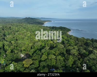 Üppige tropische Karibikküste von Limon in Costa Rica - aus der Vogelperspektive auf Cocles und Puerto Viejo Stockfoto